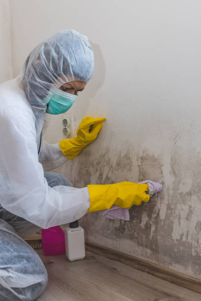 Best Mold Odor Removal Services  in Bonney Lake, WA